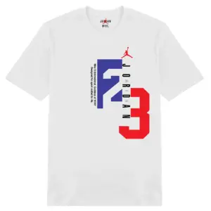 Alternative view of Jordan 23 Flight Premium