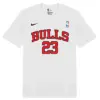 Nike Bulls 23