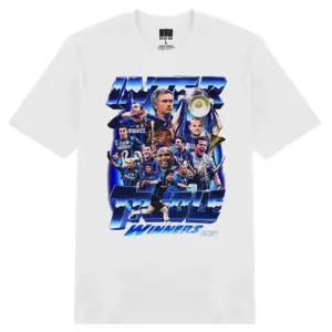 Alternative view of OBG - Inter Milan (Treble Winners 2010)